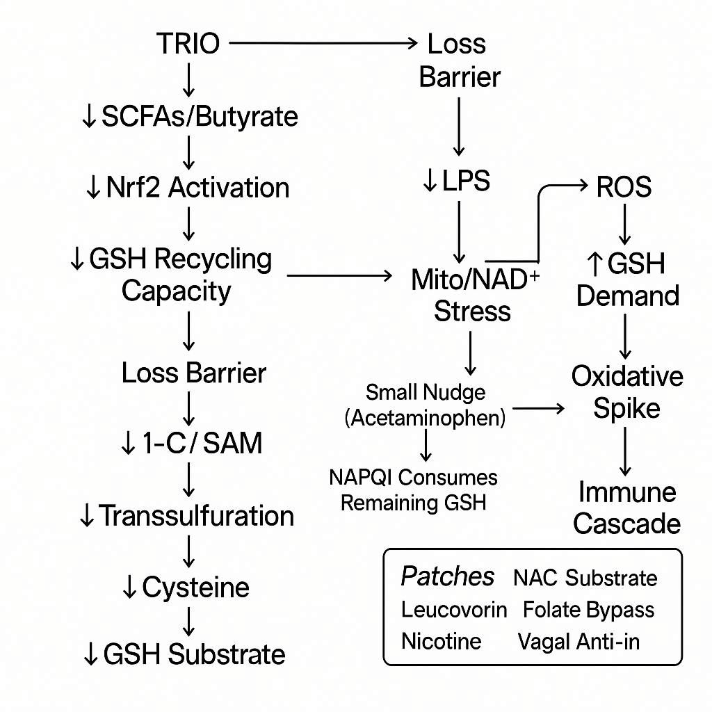 graph explaining glutathione recycle